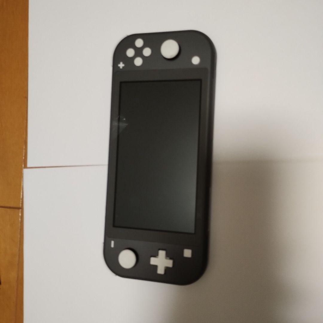 Nintendo Switch NINTENDO SWITCH LITE グ…