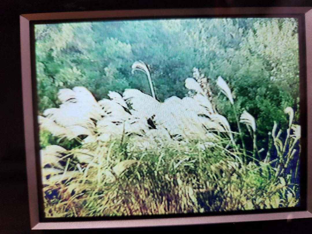 ORION 06VT1 ビデオ付き6型液晶テレビ