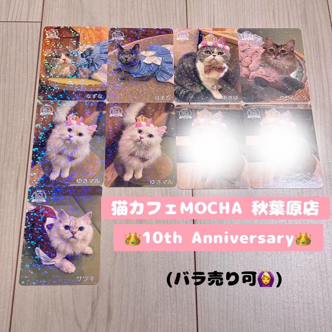 猫カフェMOCHA にゃんずトレカ　秋葉原店 即完売続出の話題のにゃんずトレカ、待望の秋冬バージョン