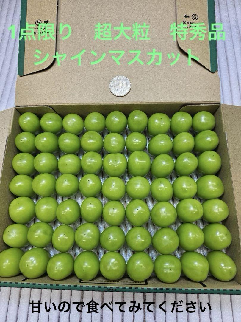 山梨県産　シャインマスカット　ハウス栽培　粒売り　超大粒　1kg