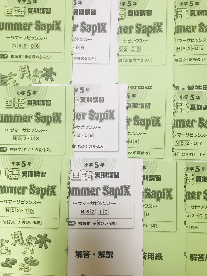 ⑲ SAPIX サピックス　5年　夏期講習　国語　サマーサピックス　10回30冊