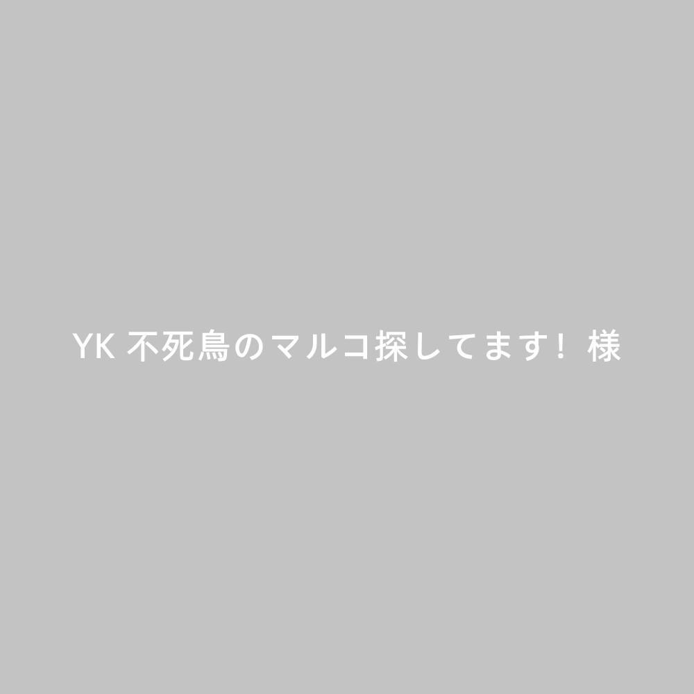 YK 不死鳥のマルコ探してます!様専用 YK 不死鳥のマルコ探してます!様専用