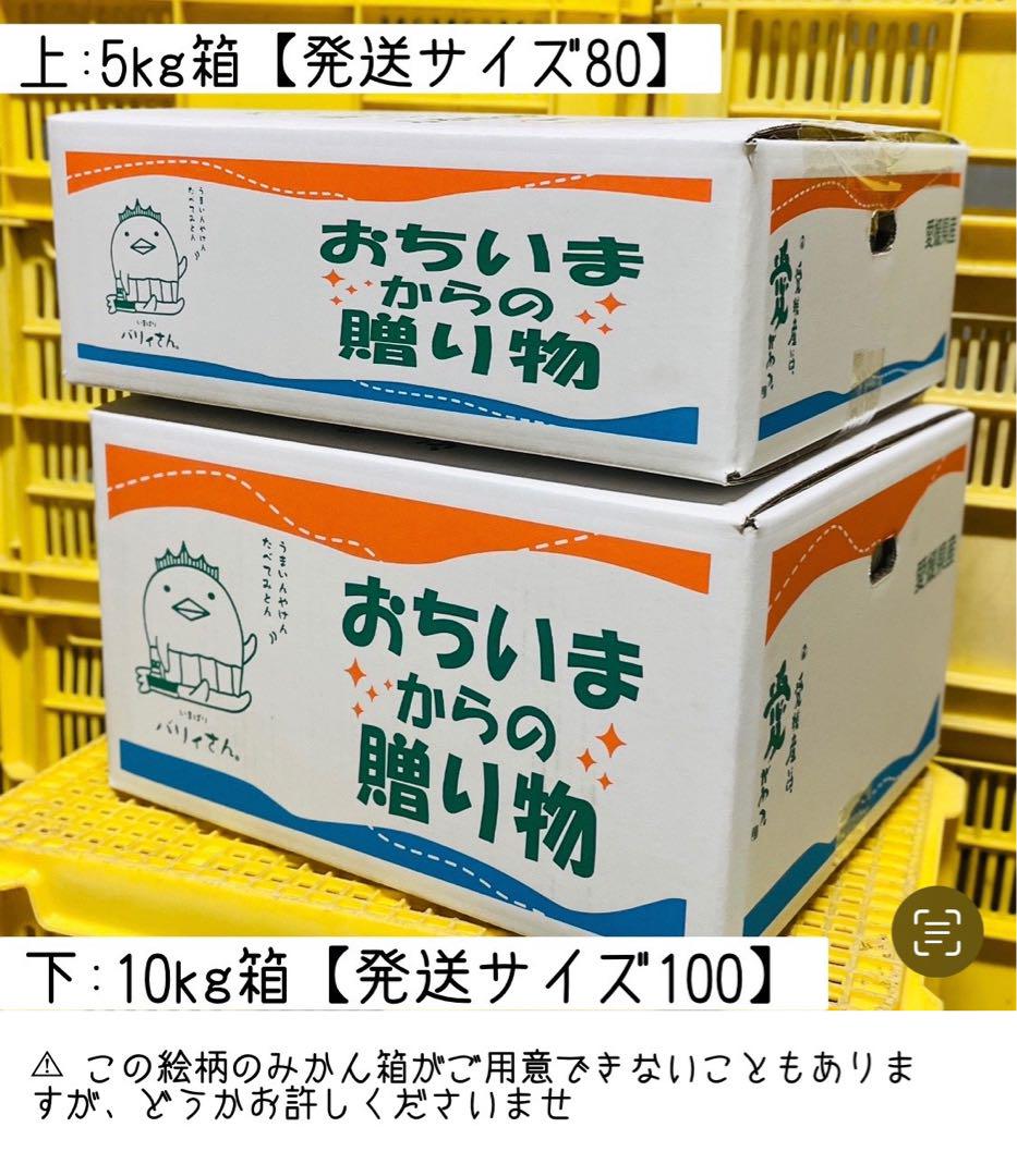 農薬不使用の国産レモン 10kg箱【木成レモン！愛媛の農家直送