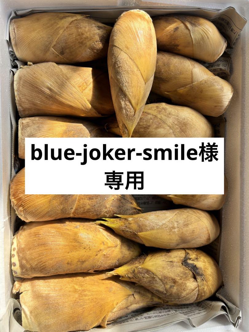 早掘り筍４kg   9,200円 鹿児島県産 早堀たけのこ 4Kg 専用