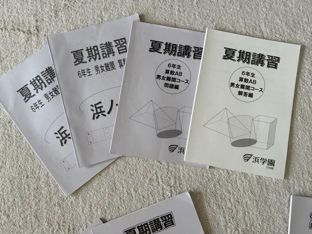 中学受験　浜学園　６年生　夏期講習　算国理セット　新品 中学受験 浜学園 6年生 夏期講習 算国理セット 新品 - メルカリ