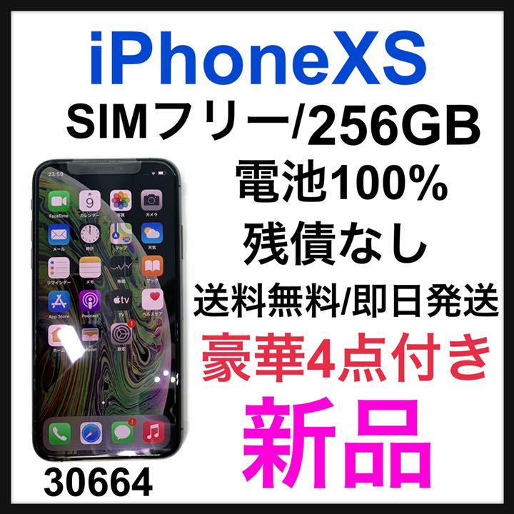 お気にいる 新品 Iphone Simフリー Gb 256 Gray Space Xs スマートフォン本体 Demolition Training