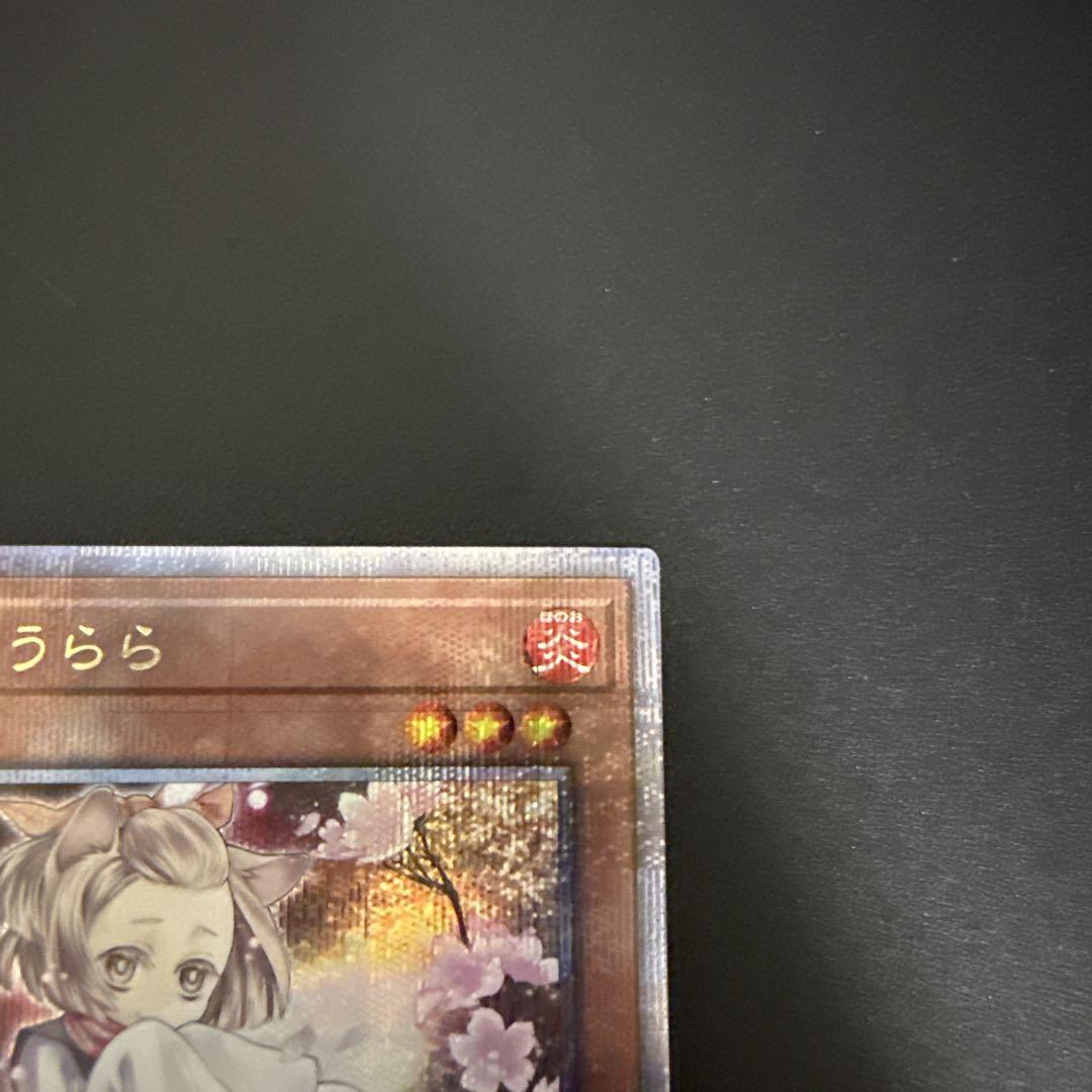 灰流うらら 25th シク ③