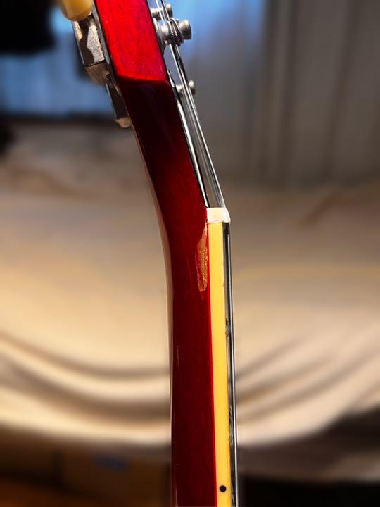 Amazon | Burny SRSG55 Cherry エレキギター SGタイプ バーニー