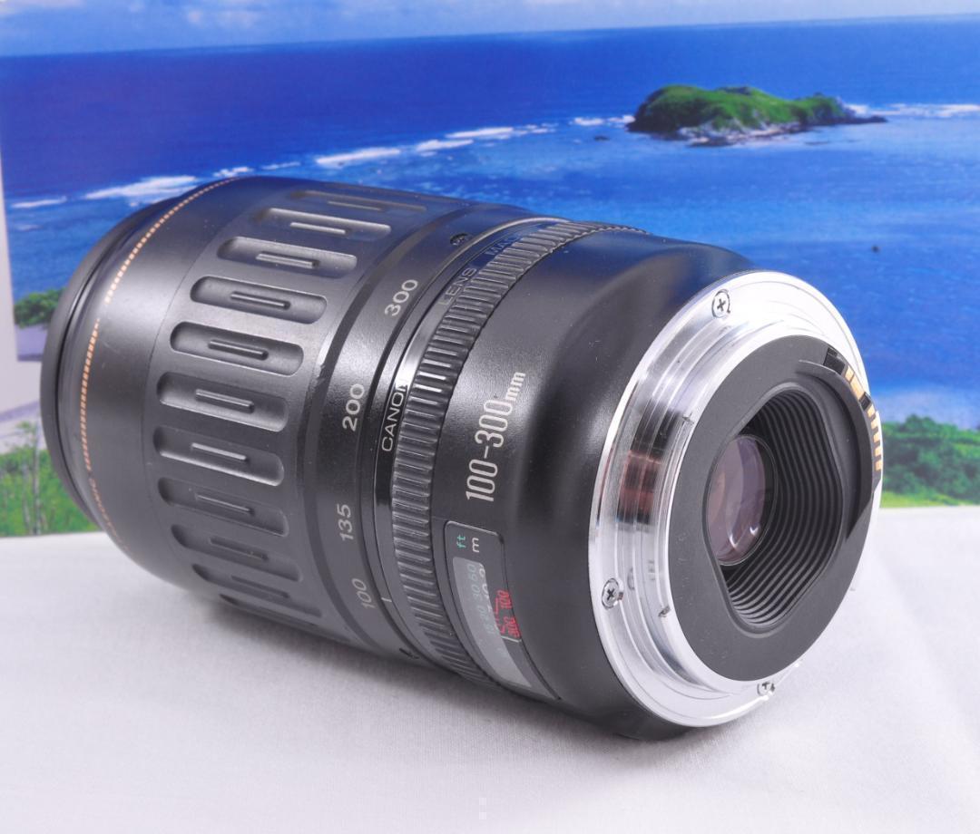 ★望遠はここから！Canon　EF100-300mm USM キヤノン#3