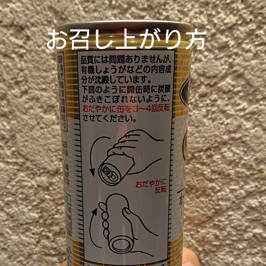 国産有機しょうが使用！オーガニックジンジャーエール×30本