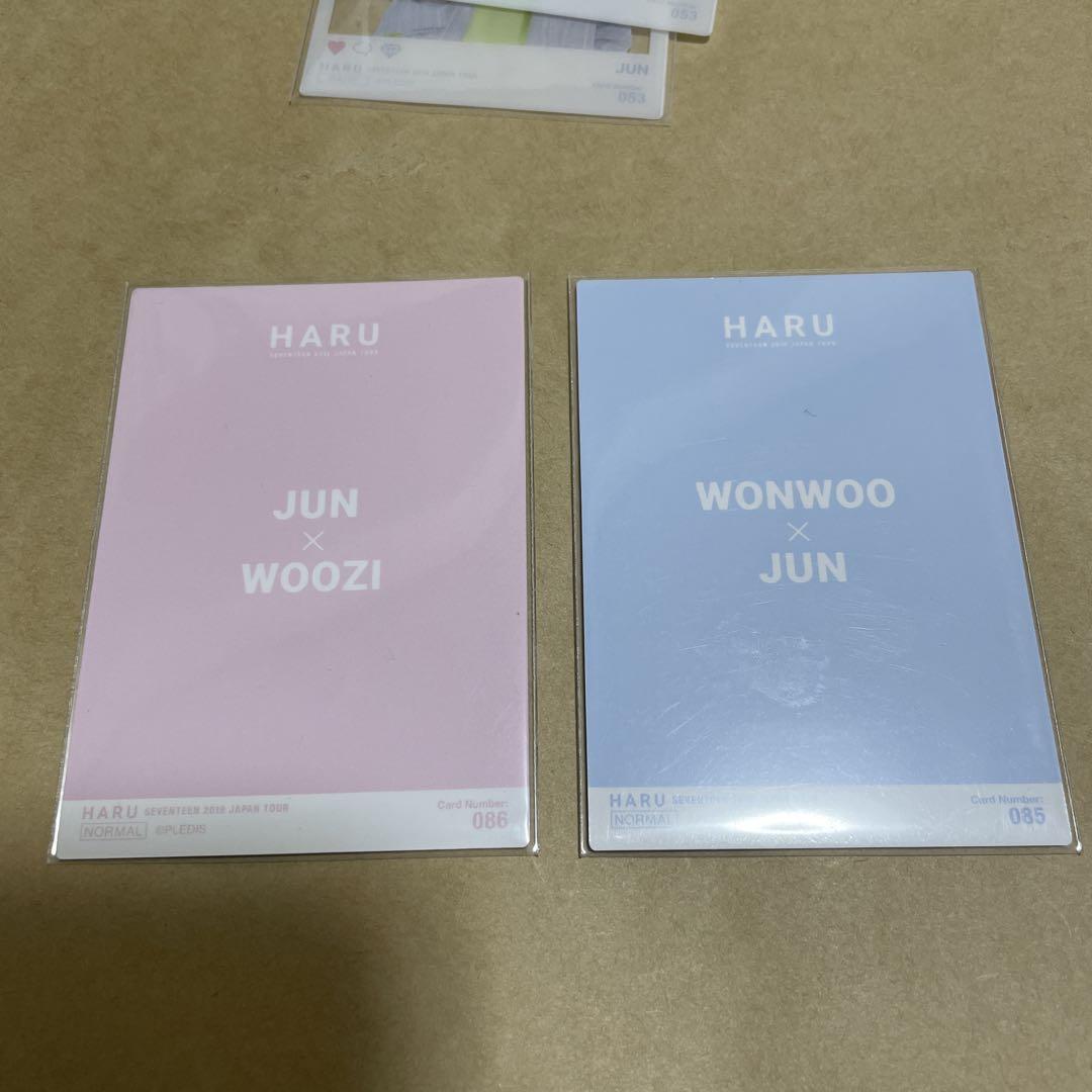 SEVENTEEN 2019 JAPAN TOUR HARU トレカ ジュン