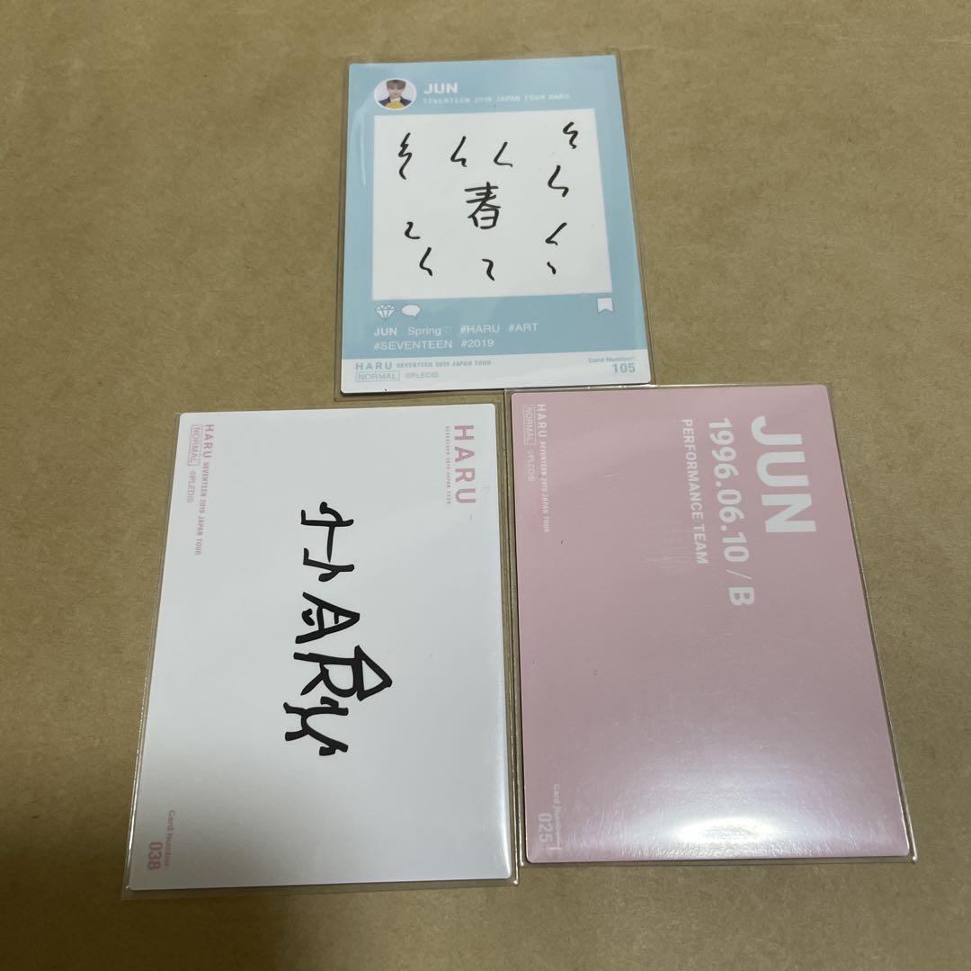 SEVENTEEN 2019 JAPAN TOUR HARU トレカ ジュン