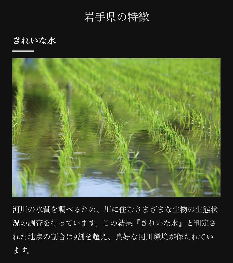 お米　玄米【令和6年産岩手県産玄米銀河のしずく30kg】 7年連続特A評価獲得！