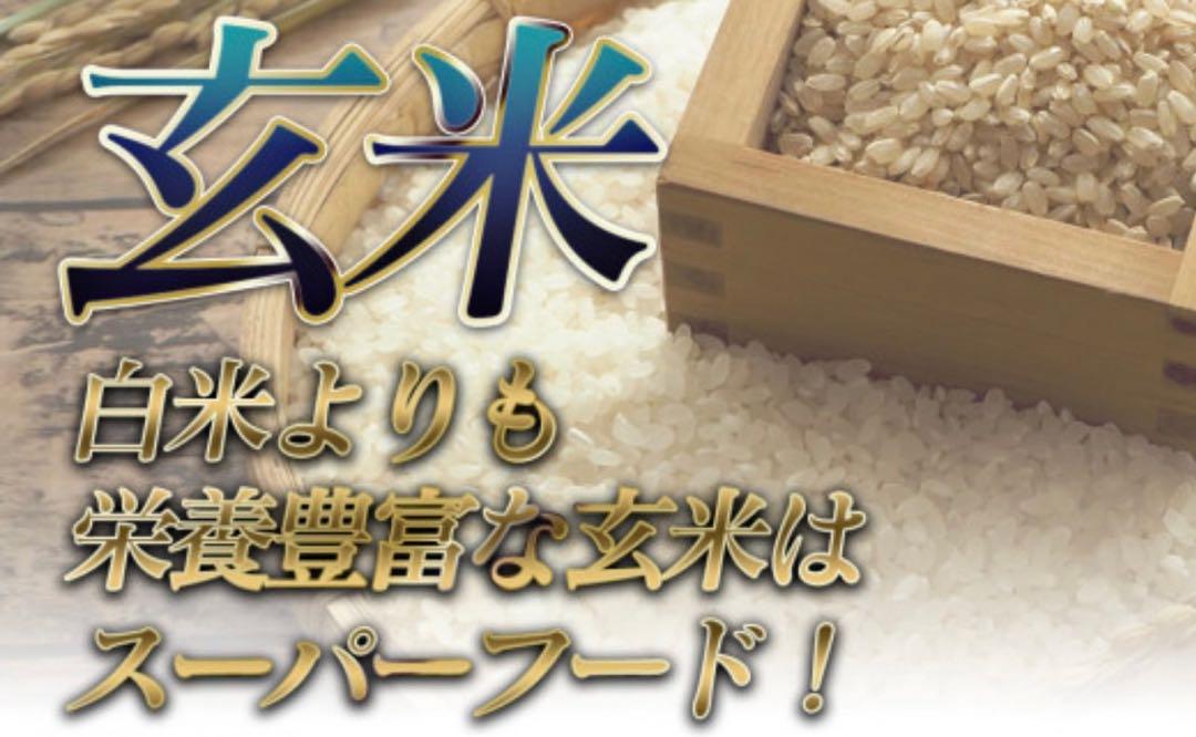 お米　玄米【令和6年産岩手県産玄米銀河のしずく30kg】 7年連続特A評価獲得！