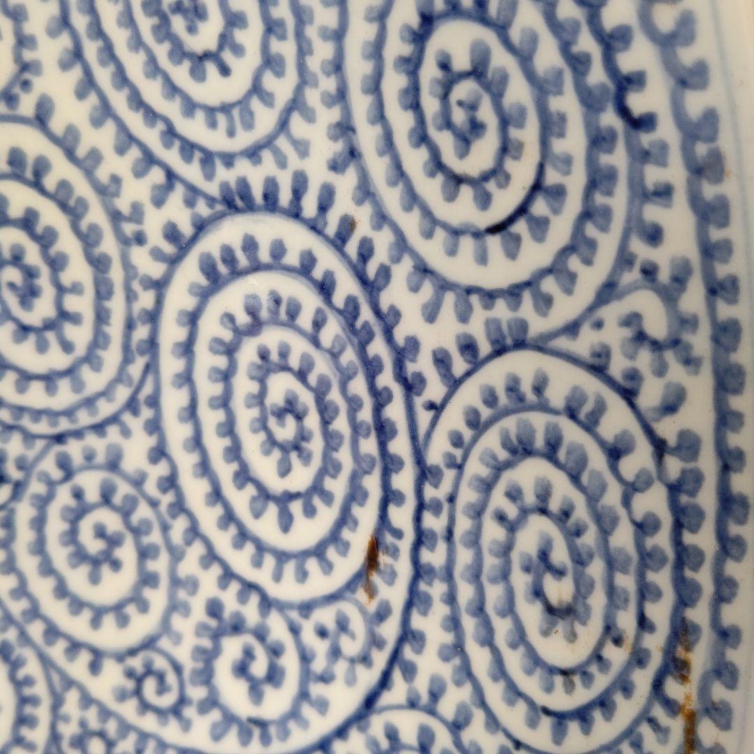 蛸唐草、皿