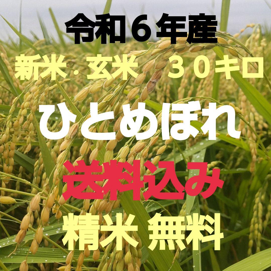 【新米 玄米】 宮城県北産 ひとめぼれ米 30kg ⚫︎環境保全米 NO.15