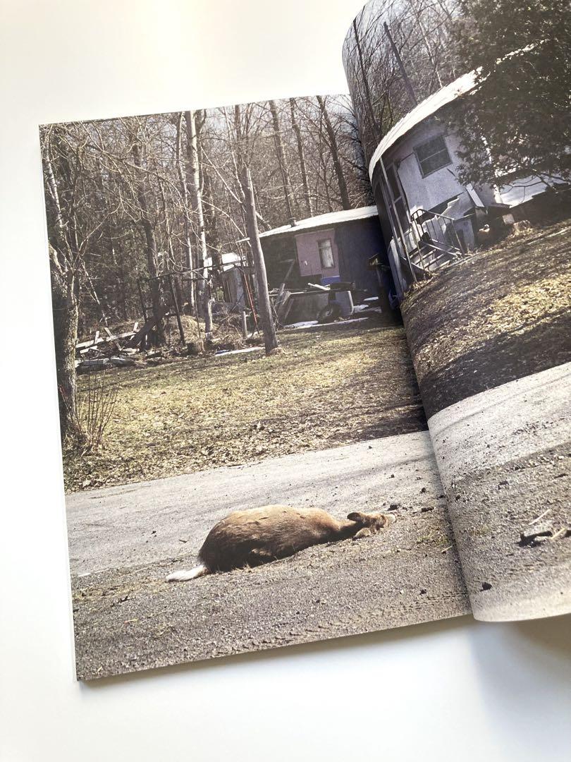 Peter Sutherland 写真集「Buck Shots」鹿 森自然 街 - メルカリ