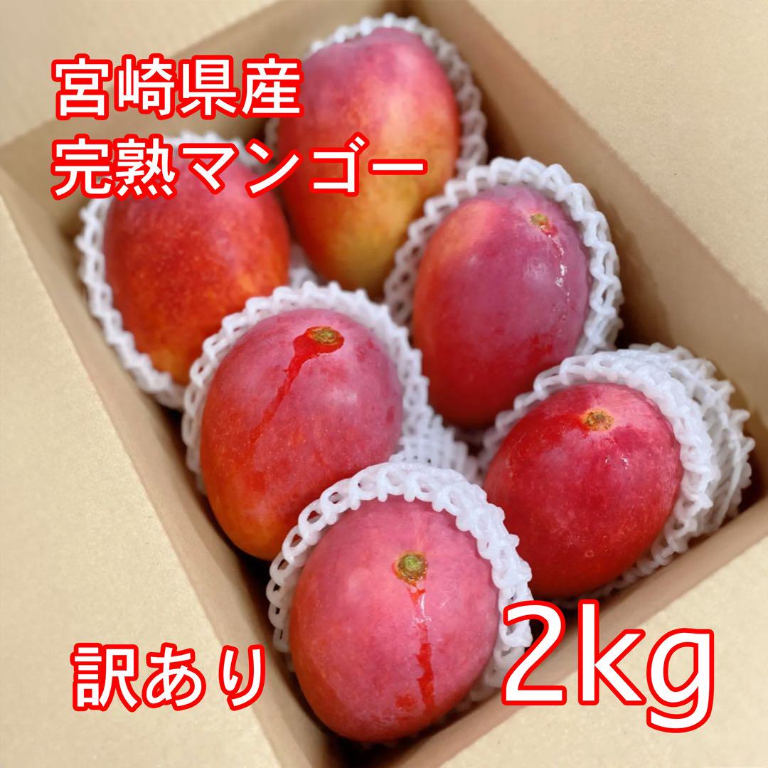 宮崎県産 完熟マンゴー 訳あり 2kg 5-6玉