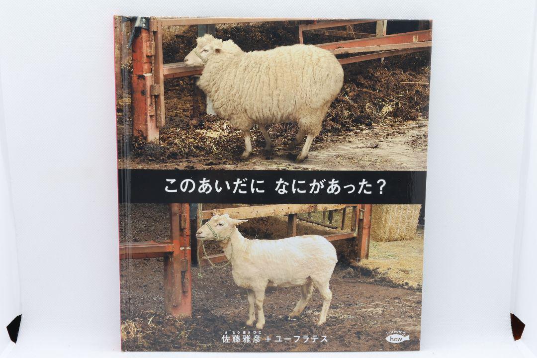 の