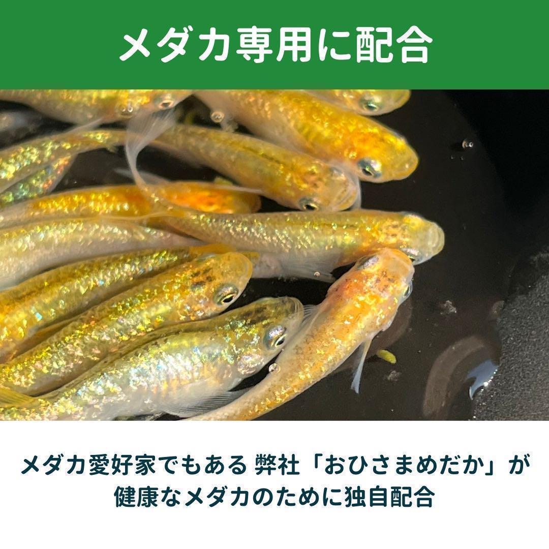 版画　立て　特寸法　ダロ　ベルナルデス　額装仕上げ品 版画 立て 特寸法 ダロ ベルナルデス 額装仕上げ品 （日本画額縁