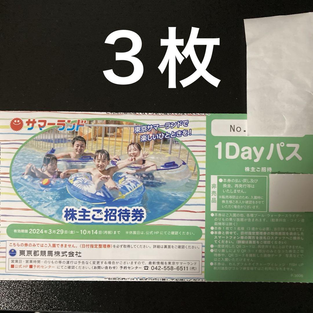 東京都競馬　株主優待　東京サマーランド　1DAYパス　３枚