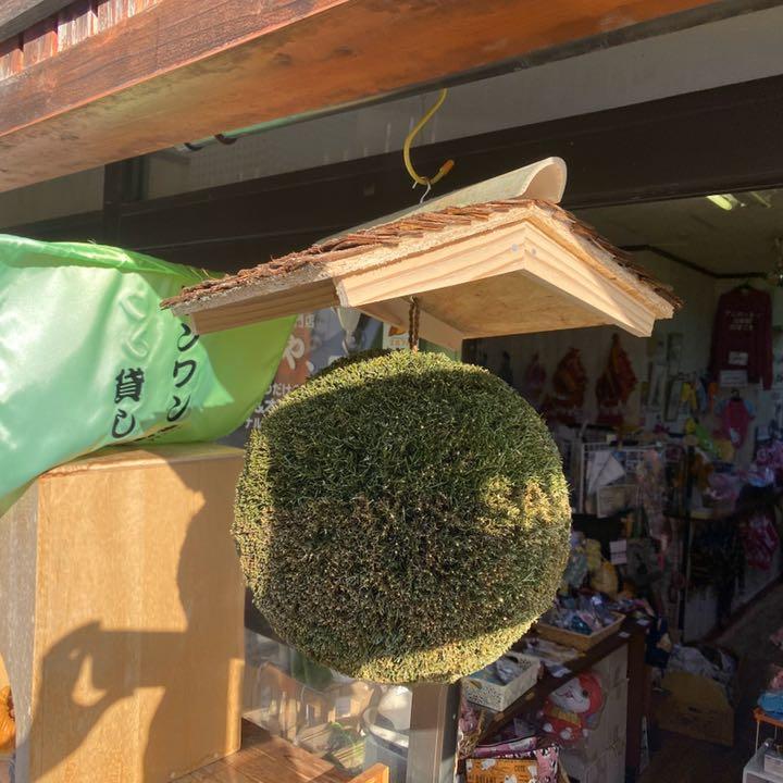杉玉【屋根付き】①