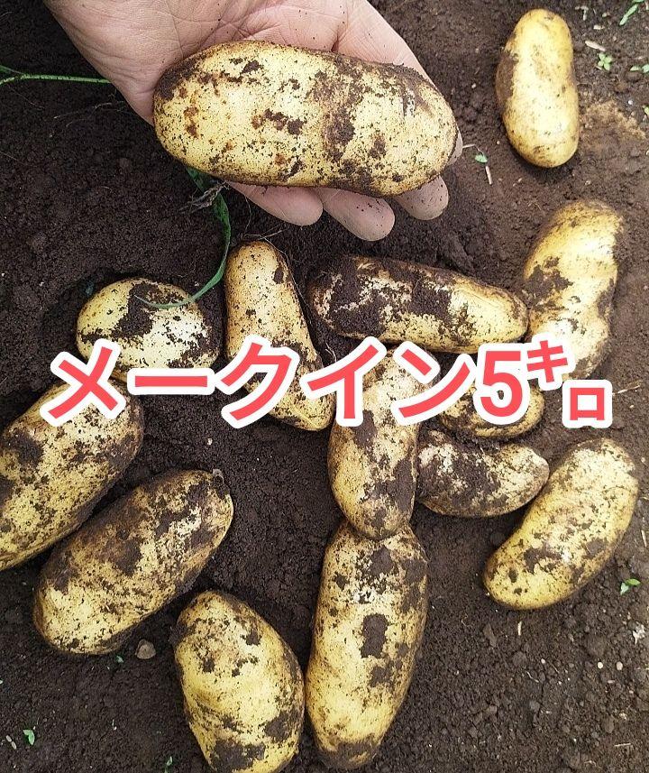 DH様専用　じゃがいもセット メークイン・キタアカリ・ダンシャク 各5kg