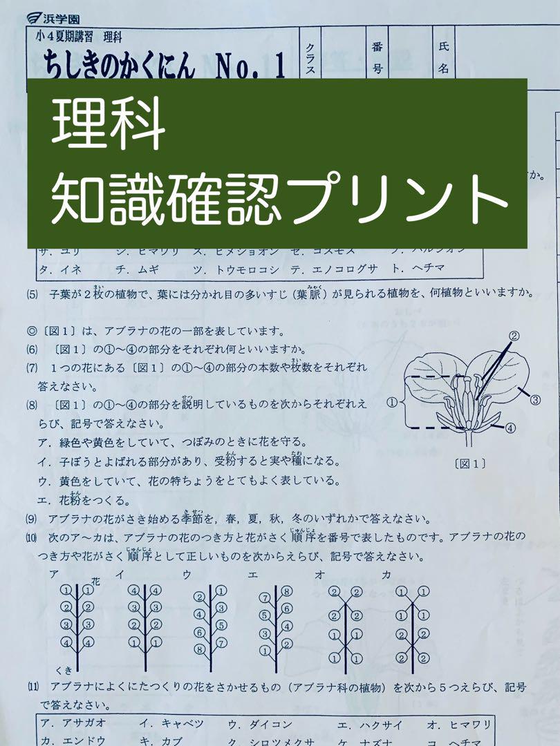 最新版 2024年度 浜学園 小4 夏期講習 Sクラス 3教科 復習テスト