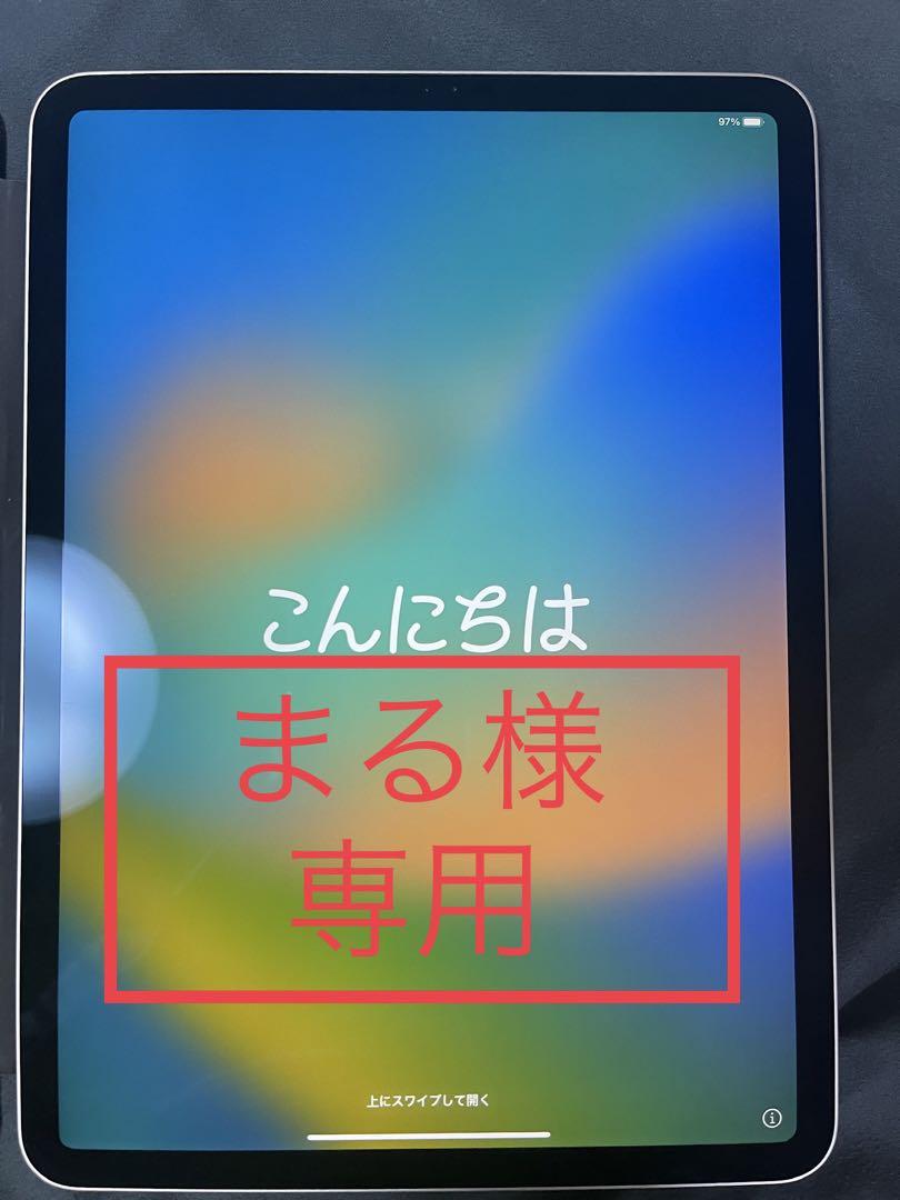 無料配達 iPad Pro 11インチ第1世代 256G Wi-Fi タブレット - biologi