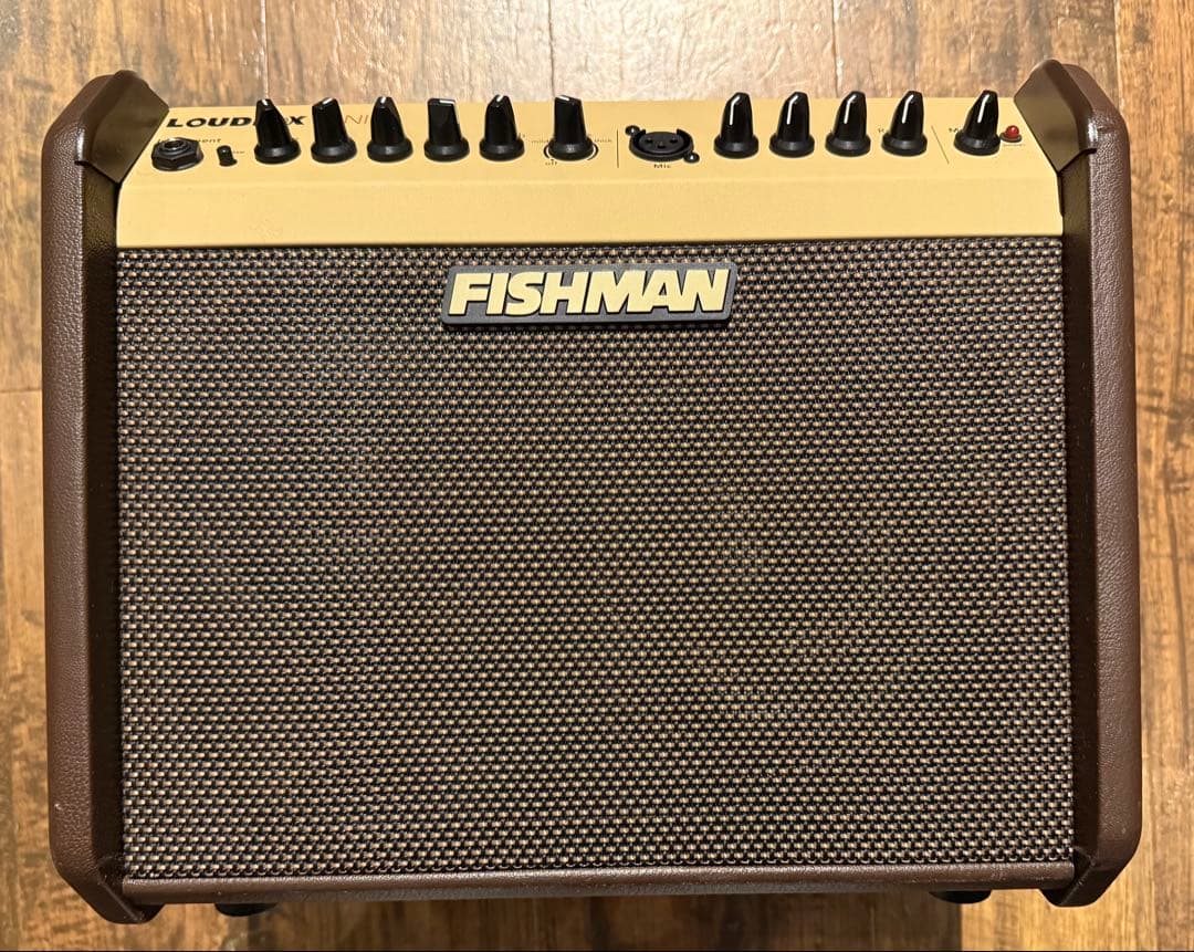 FISHMAN LOUDBOX MINI ギター用アンプ