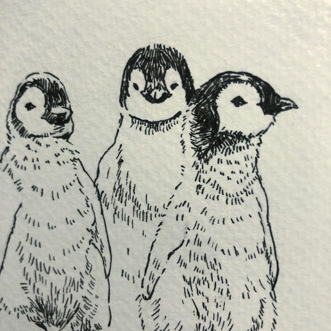 【原画】No.173 Cun2iNg 【手描き アナログ ペン画 イラスト】 ペンギン 手描き ペン画 アナログ イラスト ハガキ ポストカード