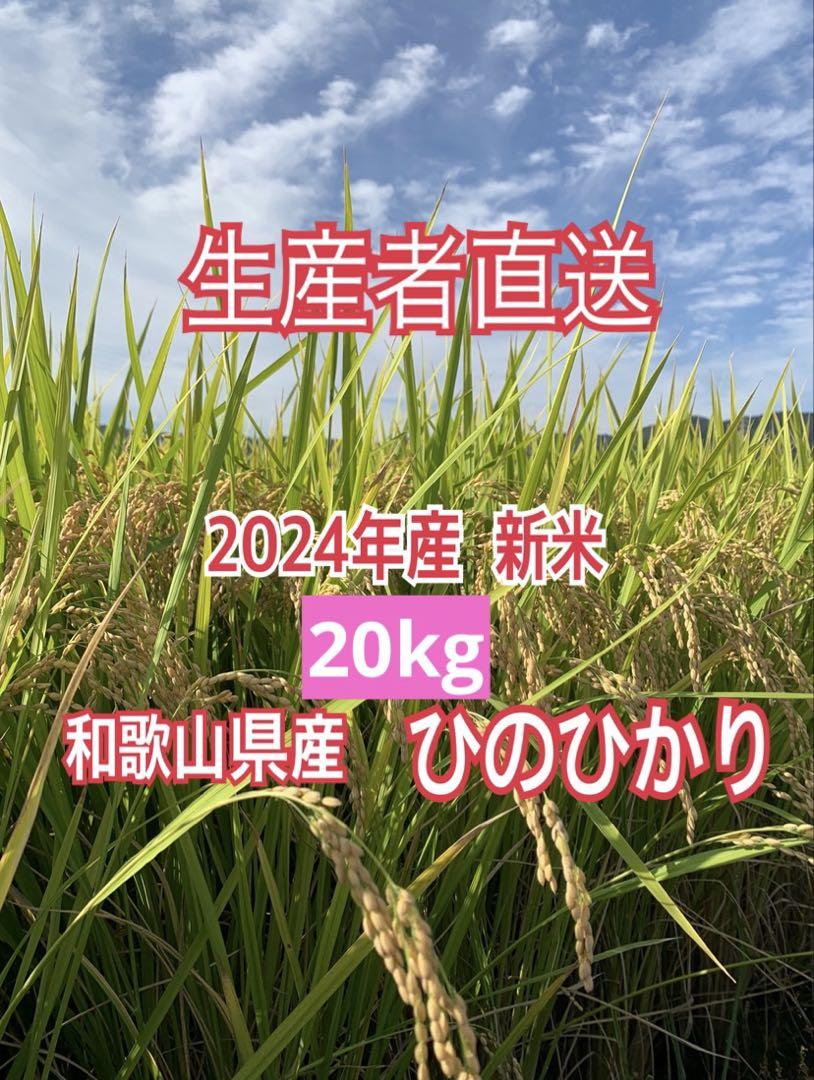 【生産者直送】令和6年産 新米 和歌山県産 ひのひかり 20kg 玄米を精米 12,012円