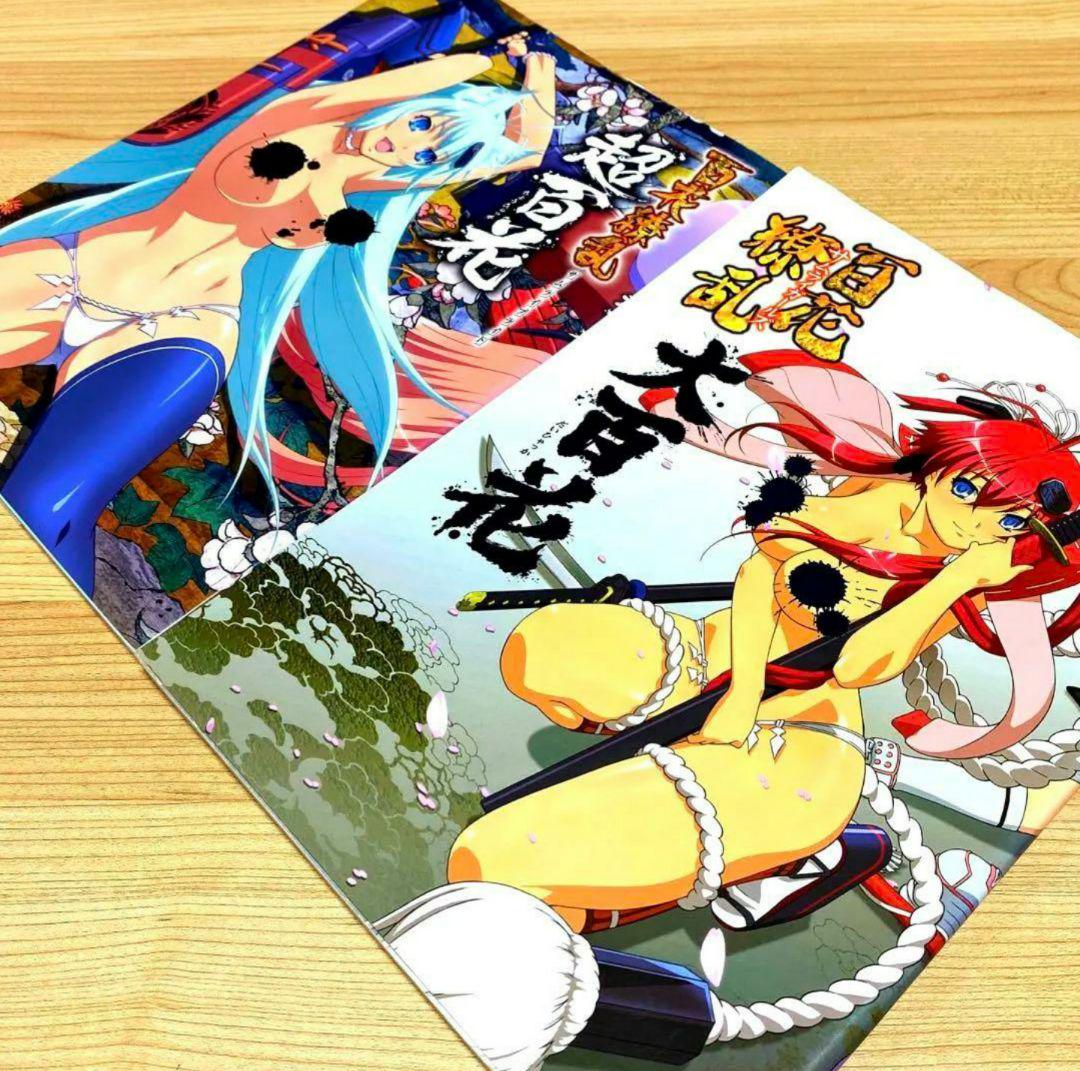 百花繚乱サムライガールズ 大百花+超百花 設定資料集2冊セット