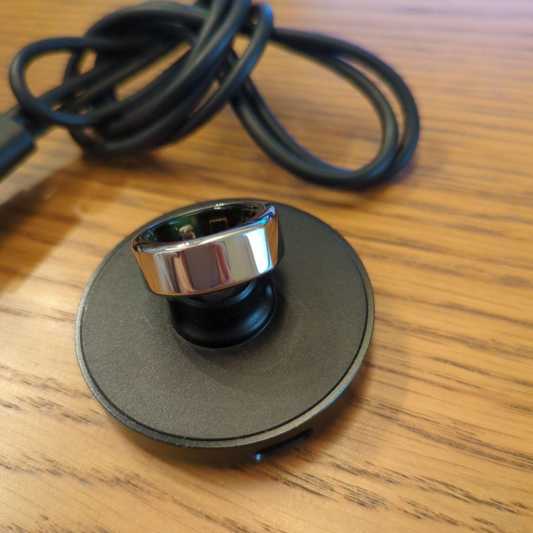 健康アクセサリー Oura Ring Gen2 Heritage Silver US6