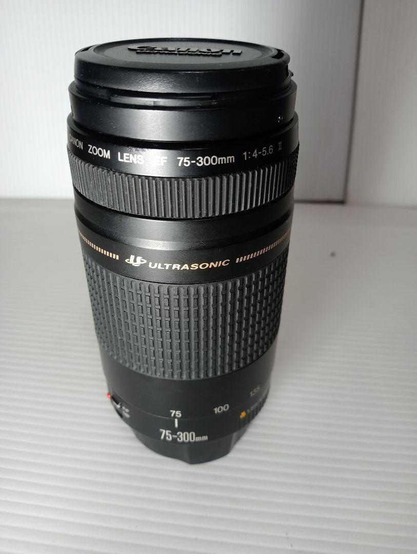 #Canon EF ULTRASONIC 75-300mm f/4-5.6