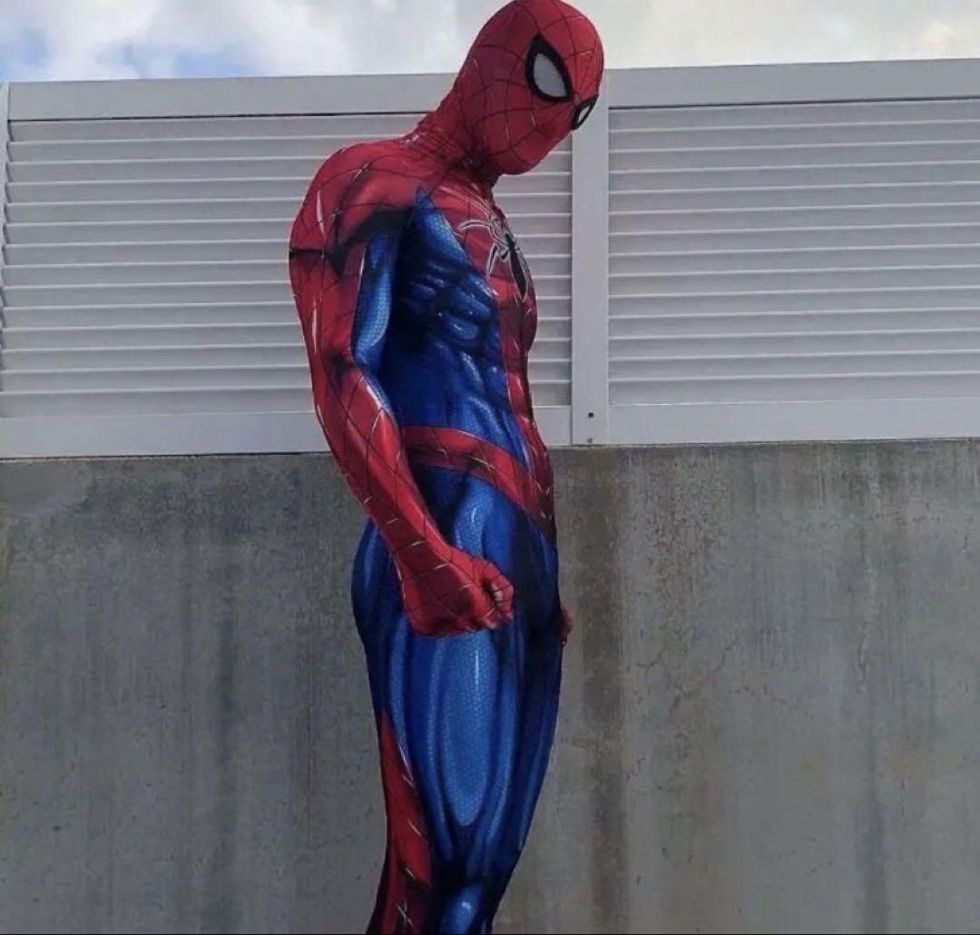 スパイダーマン　コスプレ　Lサイズ　新品未使用　高品質