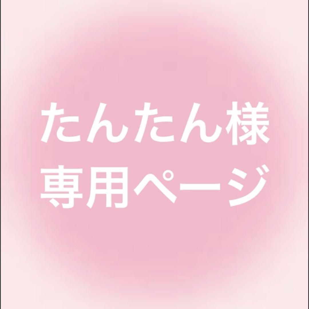 たんたん様 専用ページ