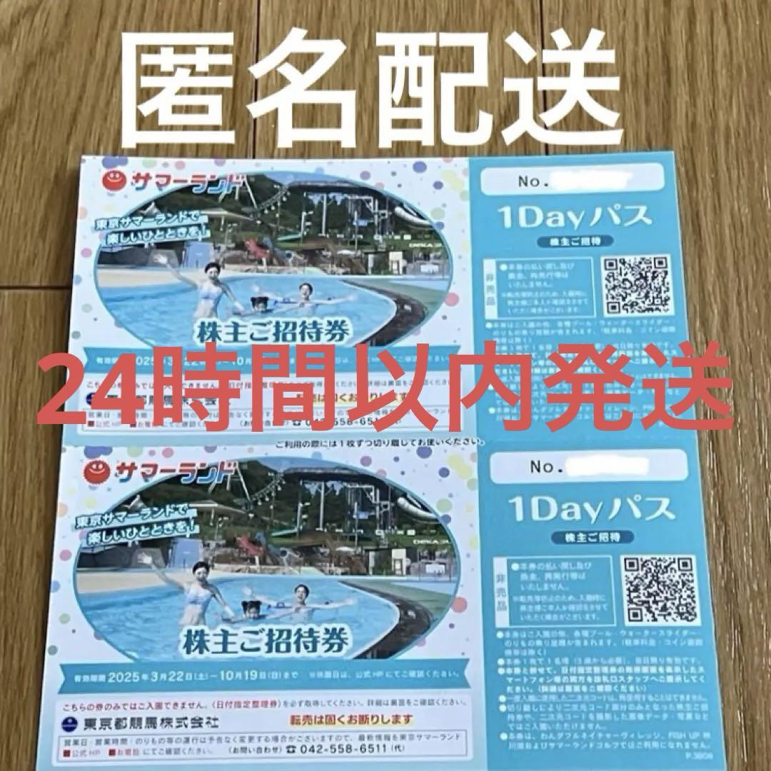東京サマーランド  １Dayパス 株主招待券2枚 株主優待券　ペア