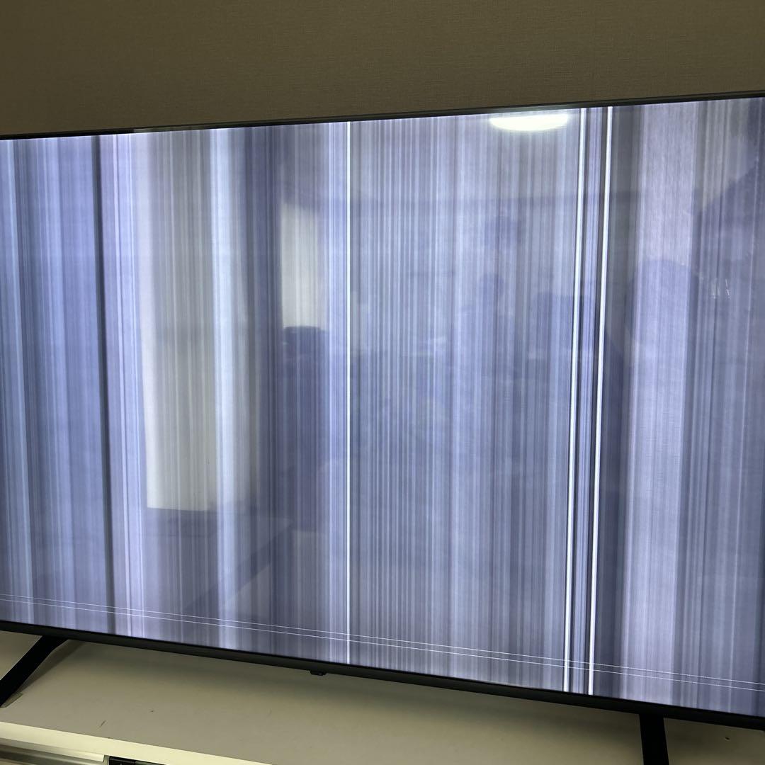 REGZA 65V型4Kチューナー内蔵4K対応液晶テレビ ECモデル 画面不良