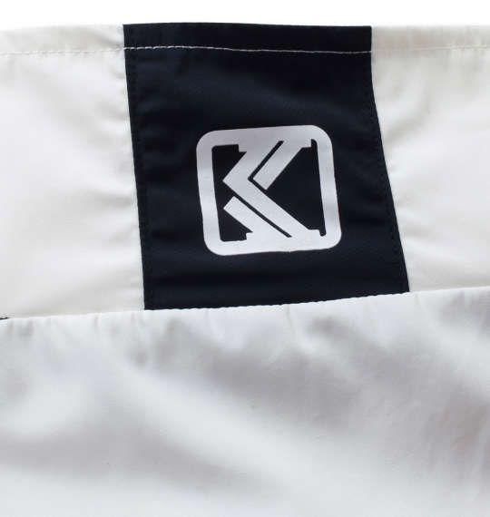 KARL KANI