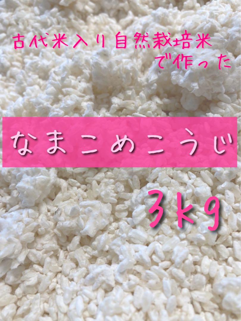 ❁⃘*.゜やむちゃんさま❁⃘*.゜自然栽培大豆5kg なまこめこうじ