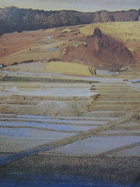 真作】矢野南景/宍道湖風景図/魚売の図/山水人物図/掛軸/名家