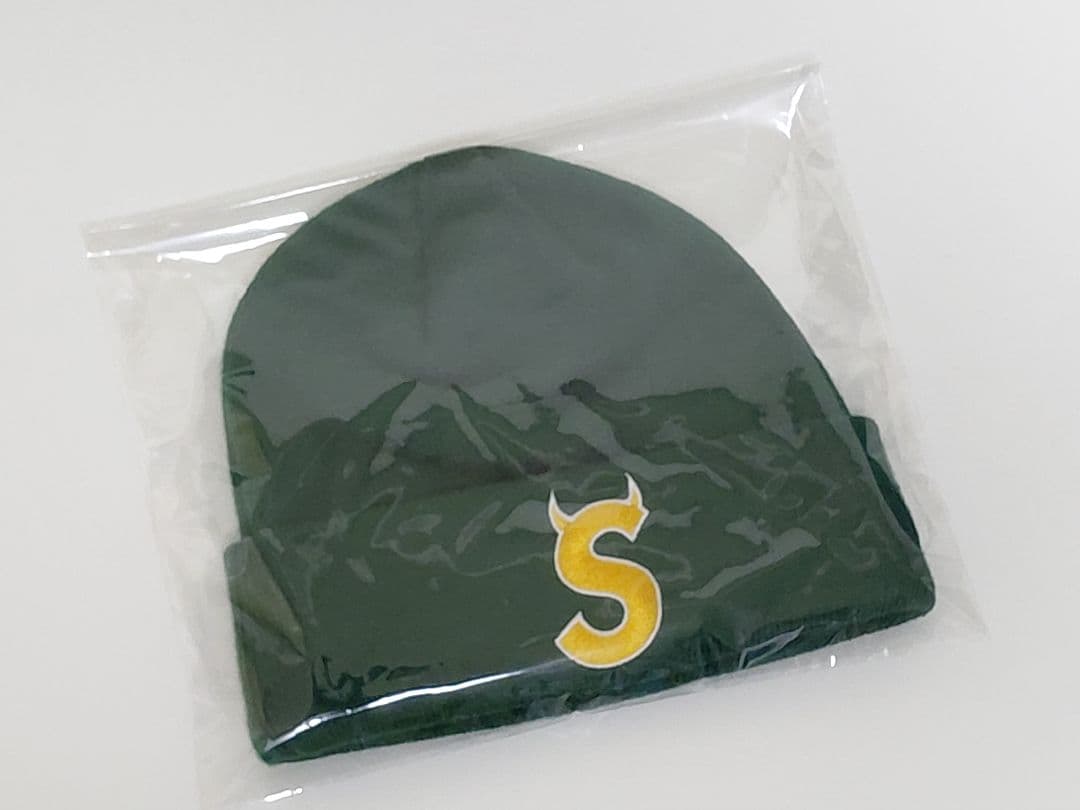 極美品】Supreme × New Era ツノ S Logo Beanie