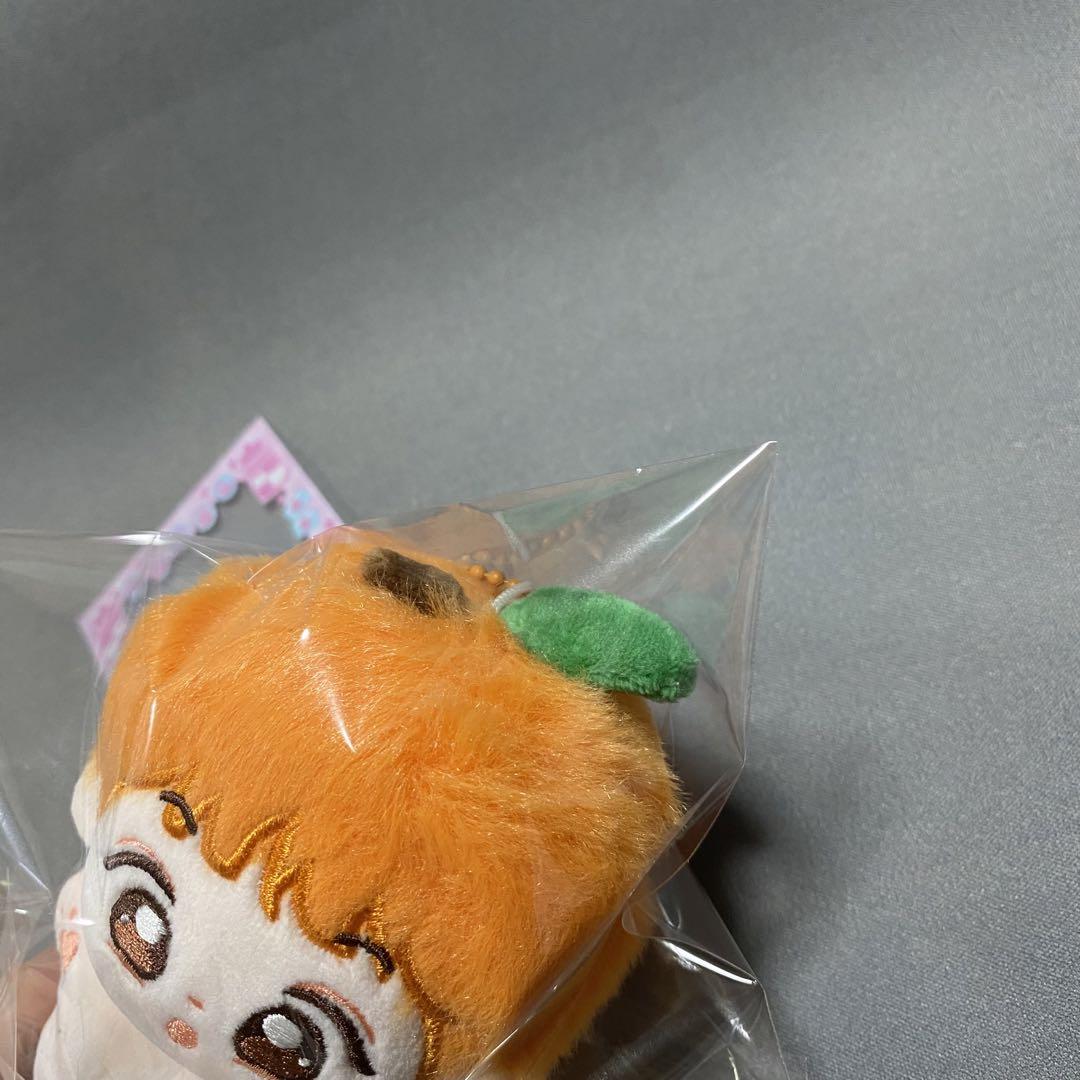 スングァン ぬいぐるみ 10cm 新品 マスター セブチ svt