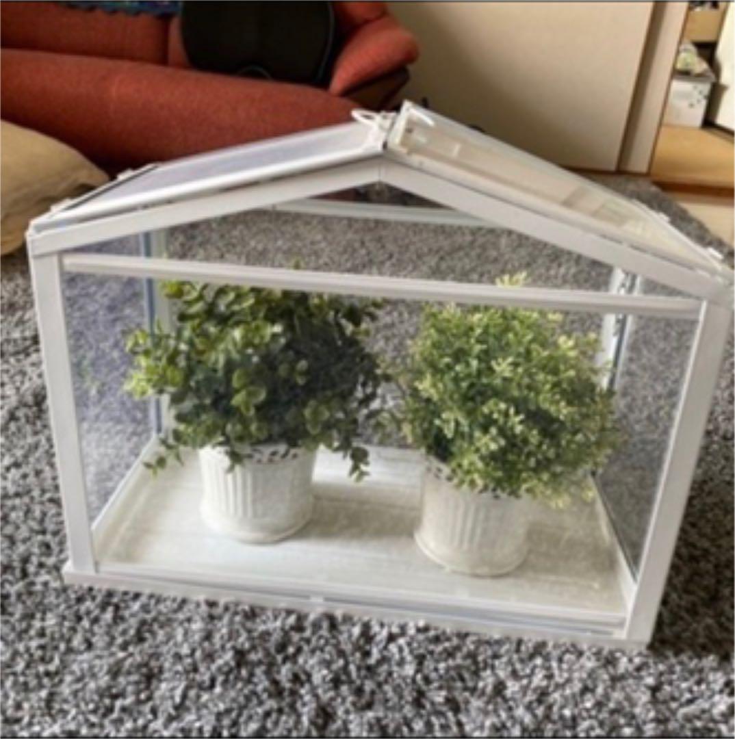 IKEA イケア ミニ温室 SOCKER インテリア 収納