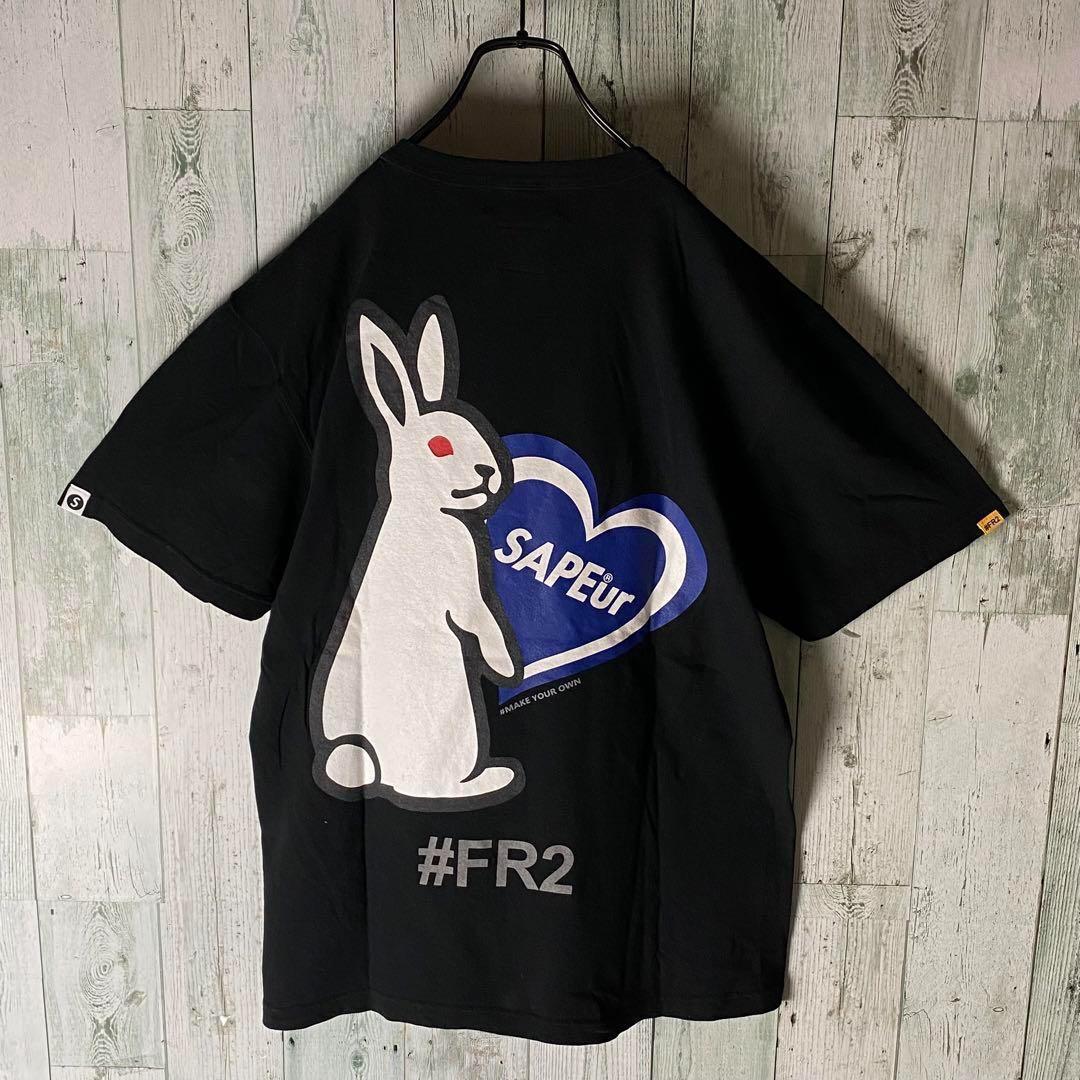 #FR2 SAPEur