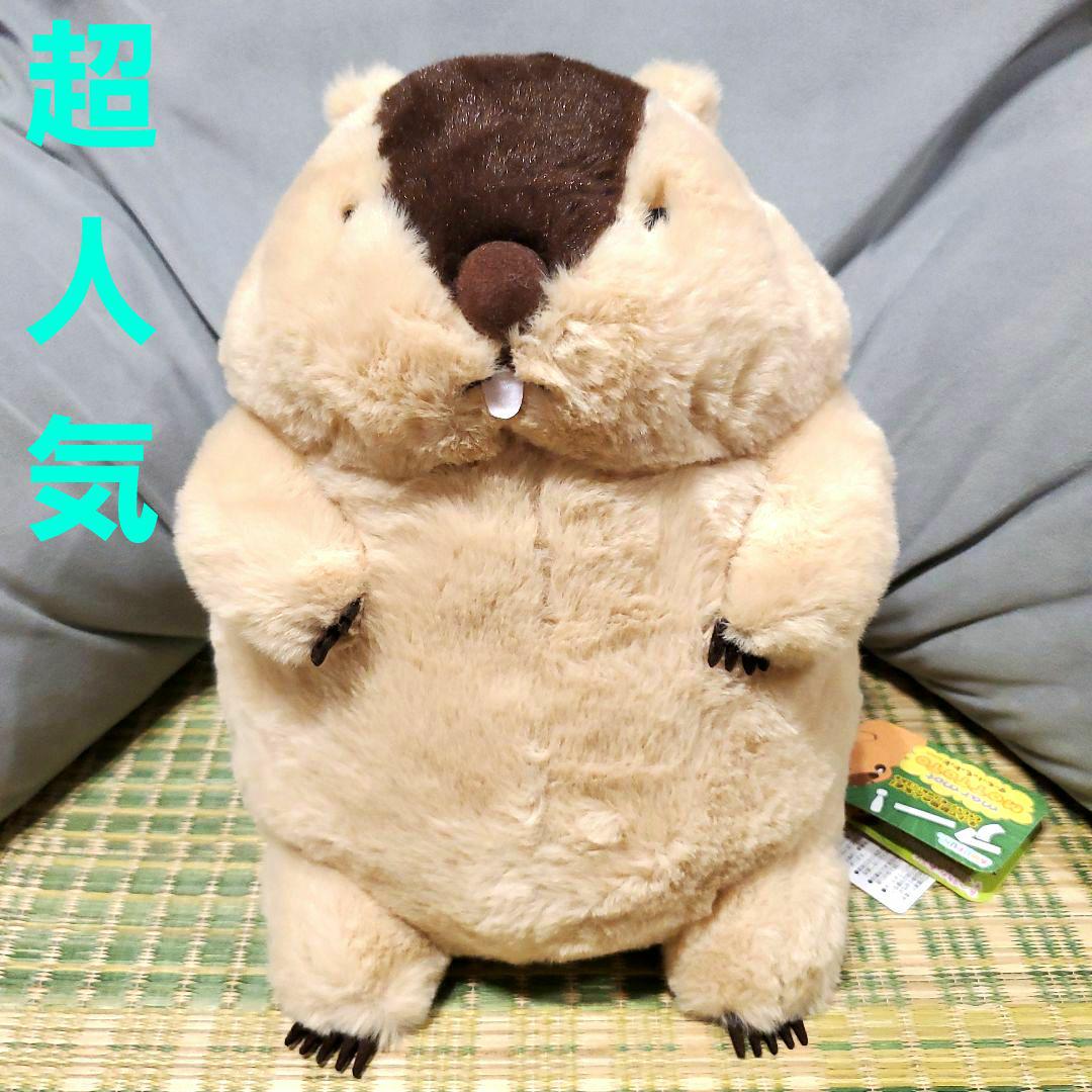 マーモットのもっとっとJB ぬいぐるみ　もっとっと　はまもと　アー太郎 数量限定】マーモットのもっとっとLMC /*Limited stock* Marmot