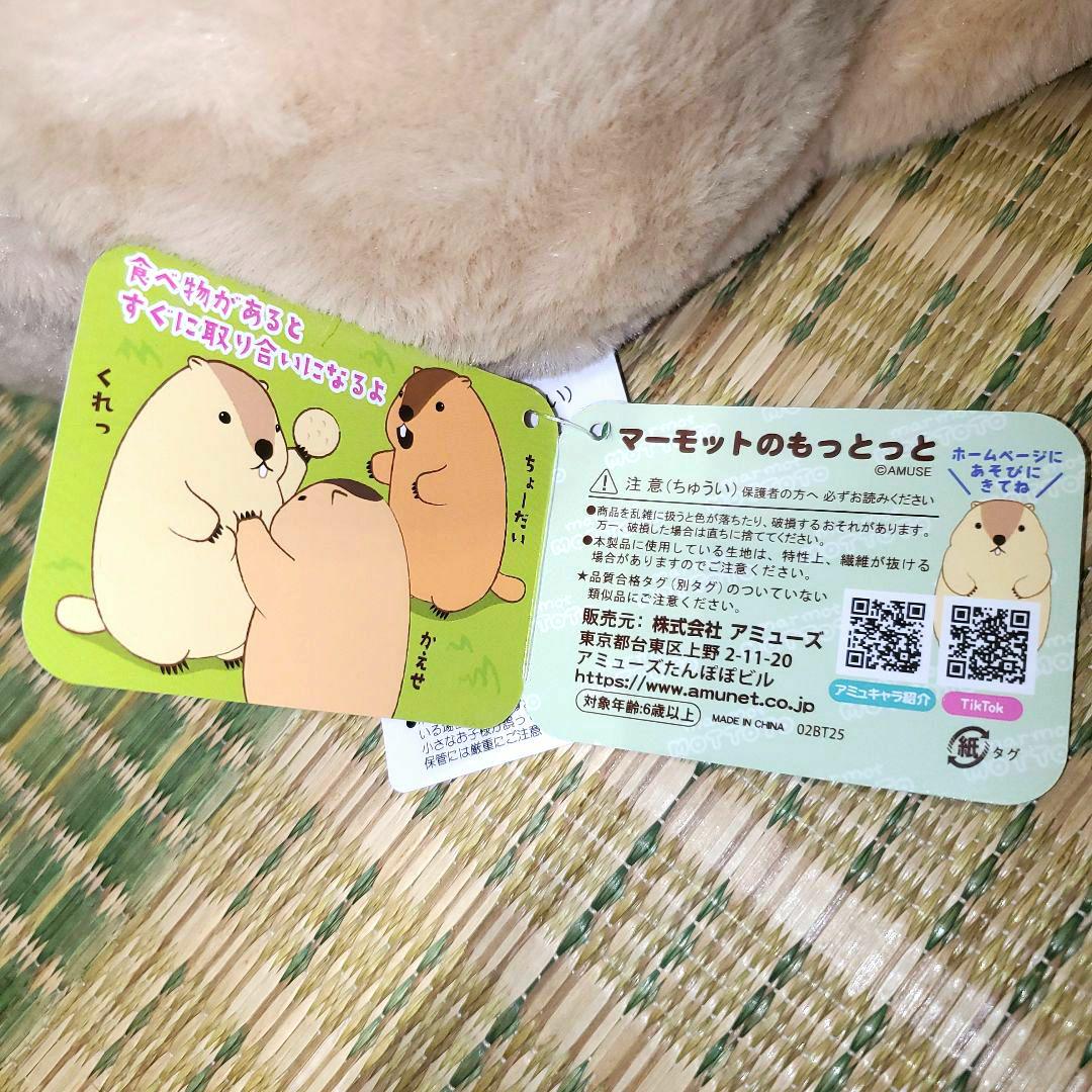 超人気破格！マーモットのもっとっと ぬいぐるみ JB はまもと