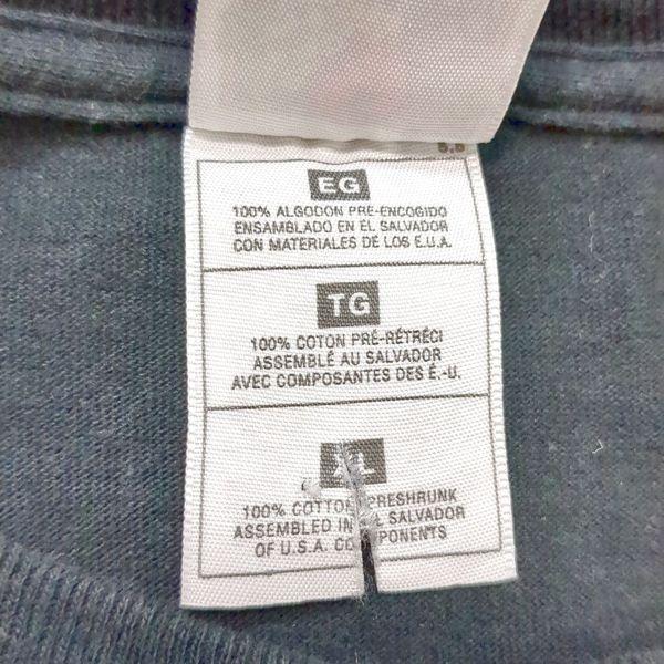 レイダース フルーツオブザルーム Ｔシャツ XL ビッグt 90s ヴィンテージ