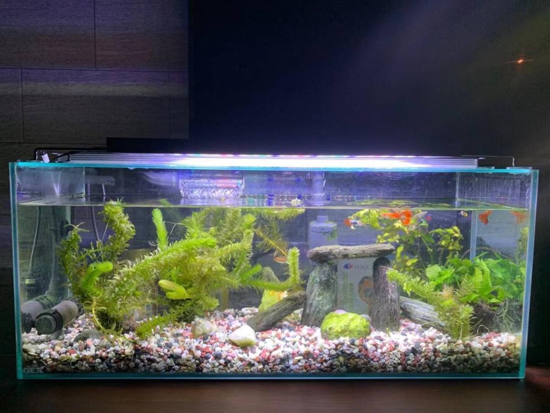 LED 水槽 アクアリウムライト 120cm～135cm タイマー付き - メルカリ